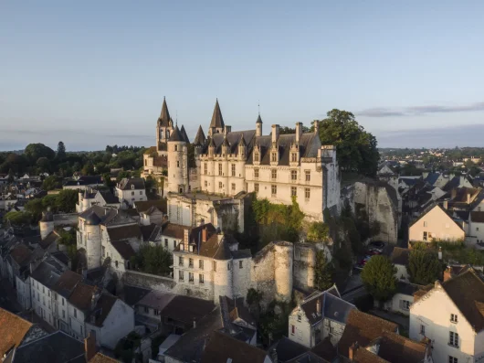 Vue sur la cité royale de Loches