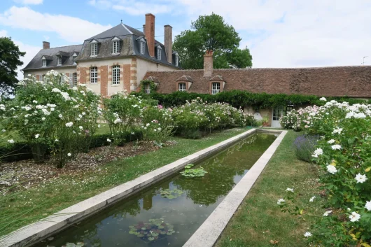 Une allée d'eau entourée de fleurs blanches