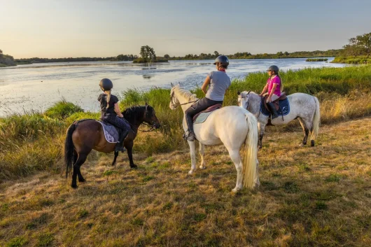 Passeggiate a cavallo