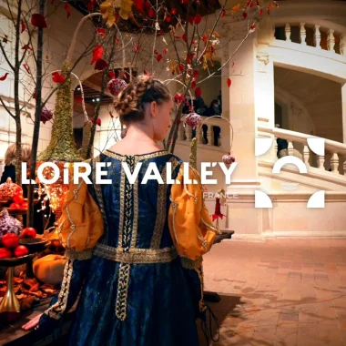 I castelli celebrano il Natale nella Valle della Loira (1 minuto)