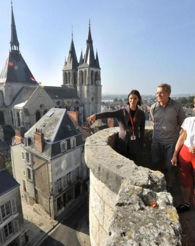 Visite guidée au Château royal de Blois