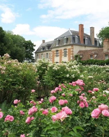 Les roses au premier plan au jardin de la Javelière