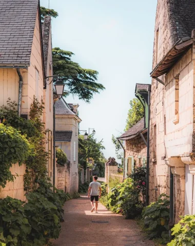 Balade à Candes-Saint-Martin