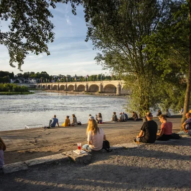 Vue de la ville de Tours depuis les bords de Loire