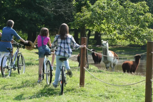 Famille à vélo observant des lamas dans le parc de la Haute Touche