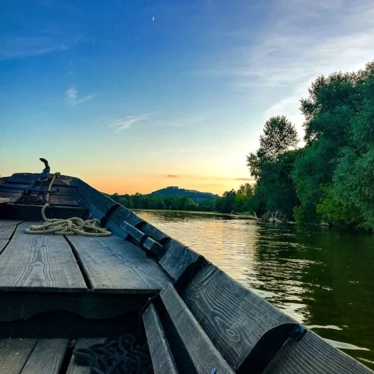 Promenade à bord du Raboliot sur la Loire